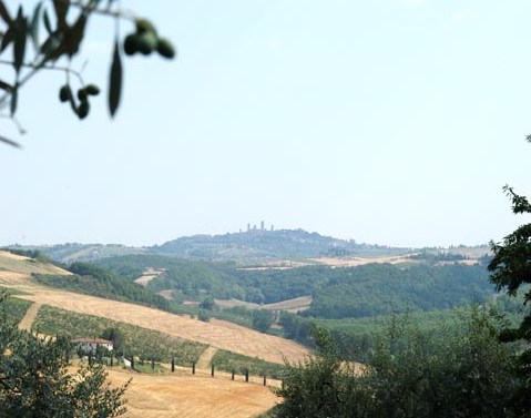 Agriturismo San Gimignano